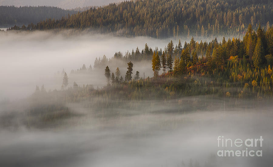 Autumn Mists #1 Photograph by Idaho Scenic Images Linda Lantzy