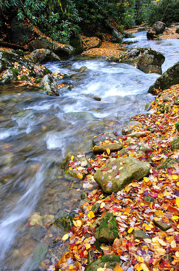 Fall Photograph - Autumn Mountain Stream #1 by Thomas R Fletcher