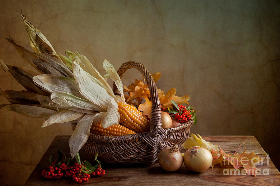 Thanksgiving Photograph - Autumn #1 by Nailia Schwarz
