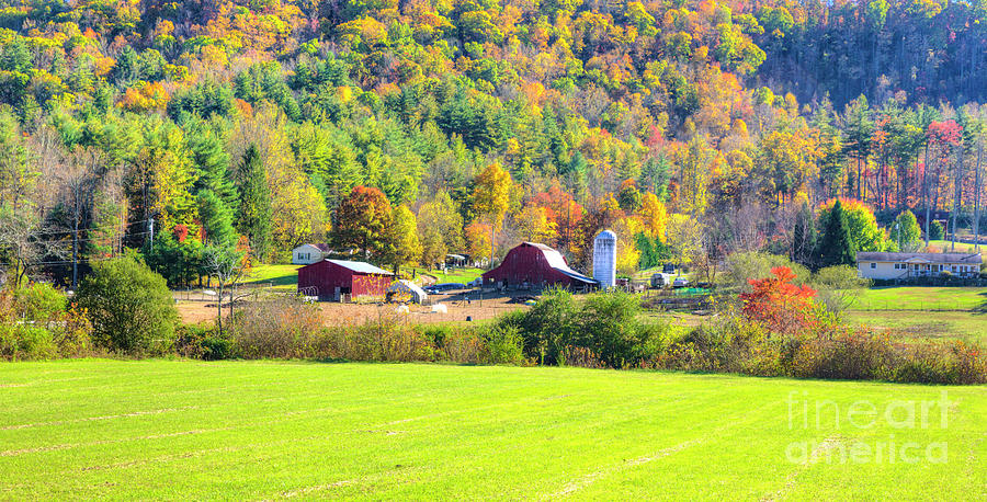 Autumn On The Farm #2 Photograph by Felix Lai