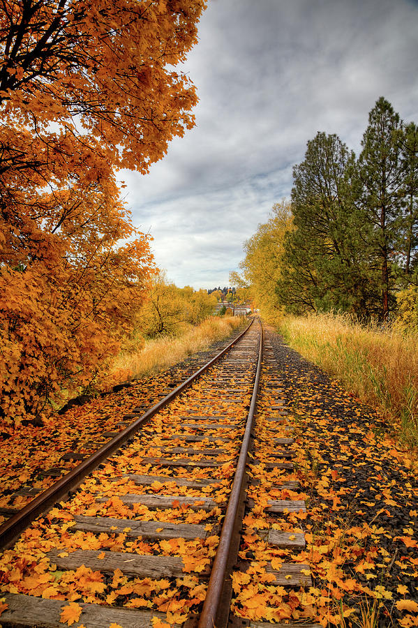 Autumn on the Tracks #2 Photograph by David Patterson