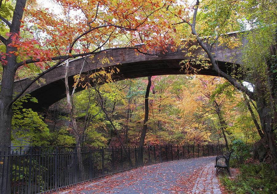 Autumn Overpass II Photograph by Jessica Jenney
