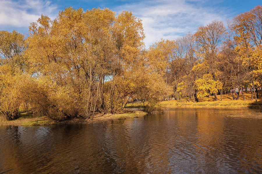 Autumn park yellow gold foliage 2 Photograph by Anna Matveeva | Fine ...