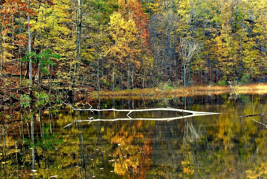 Autumn Pond #1 Photograph by Frozen in Time Fine Art Photography