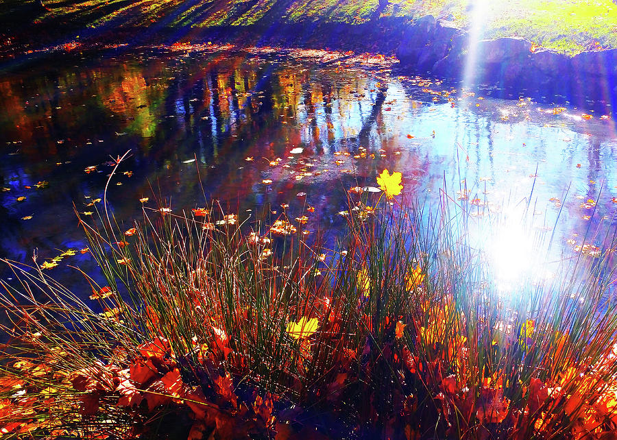Autumn Pond Reflection by Roger Bester Autumn Pond Reflection by Roger Bester