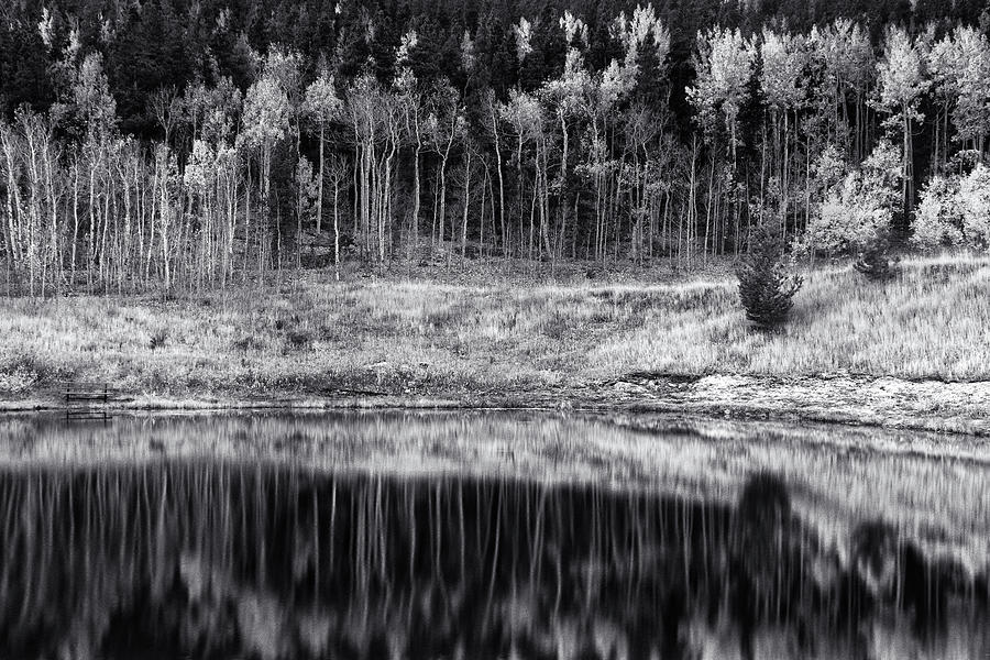 Autumn Pond Reflections #1 Photograph by John De Bord