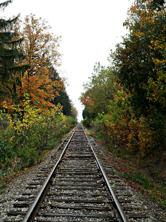 Autumn Rails #1 Photograph by Cyryn Fyrcyd