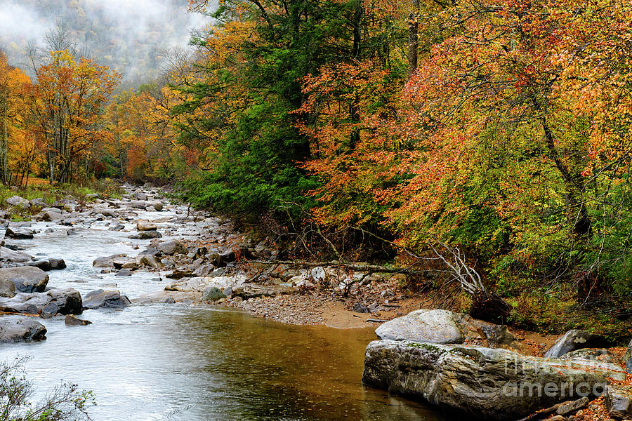 Autumn Rain Williams River #1 Photograph by Thomas R Fletcher