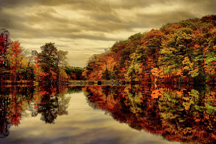 Autumn Reflection Photograph by Lilia D