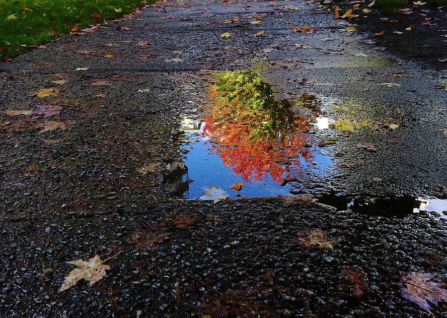 Reflection Photograph - Autumn Reflections by Brian Chase Reflection Photograph - Autumn Reflections by Brian Chase