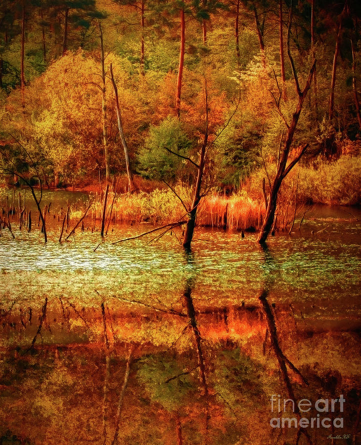 Tree Photograph - Autumn Reflections #1 by KaFra Art