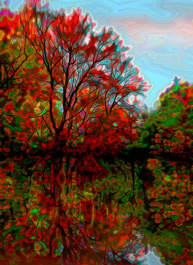 Autumn Reflections Digital Art