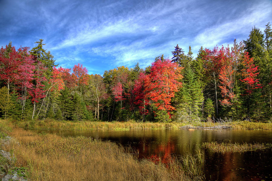 Autumn Reflections on Fly Pond #1 Photograph by David Patterson