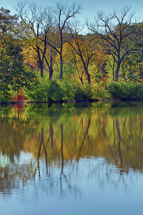 Autumn Reflections on Salt Creek #2 Photograph by Ira Marcus