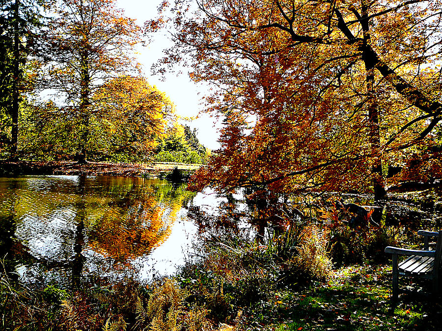 Autumn Reflections #1 Photograph by Susan Savad