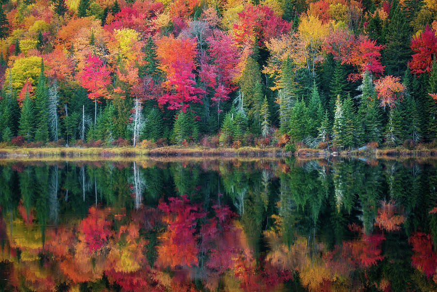 Autumn Reflections by Tracy Munson Autumn Reflections by Tracy Munson