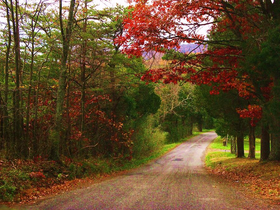 Autumn Road #1 Photograph by Joyce Kimble Smith