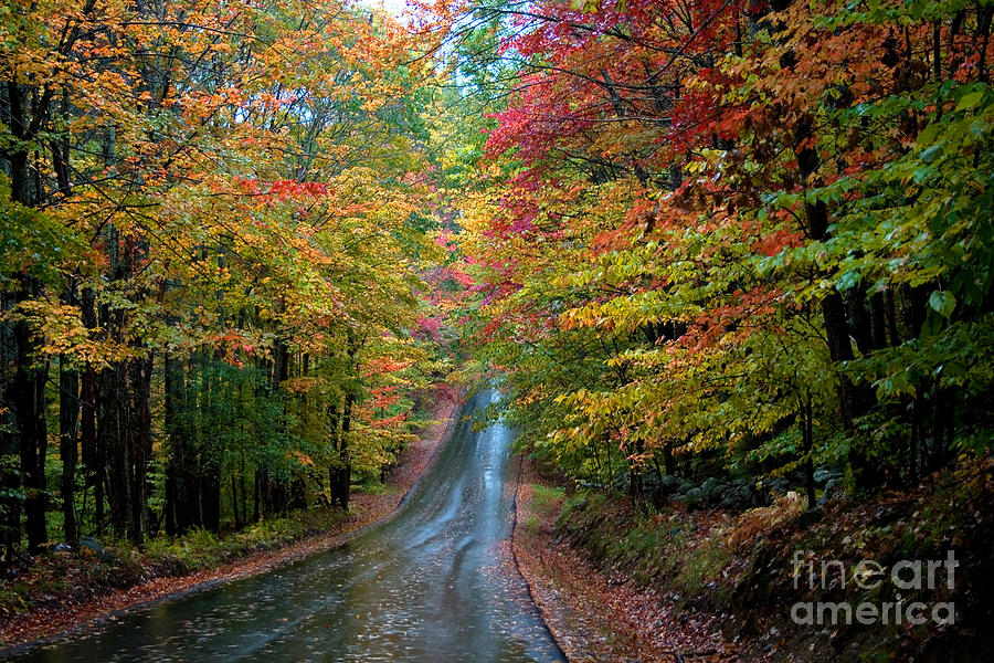 Autumn Road #1 Photograph by Larry Landolfi