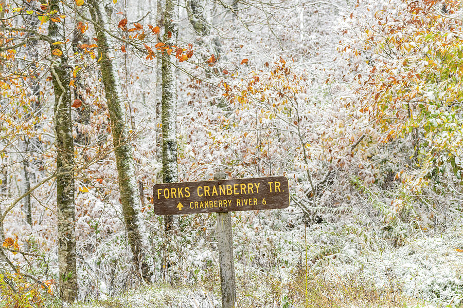 Autumn Snow Cranberry Wilderness #1 Photograph by Thomas R Fletcher