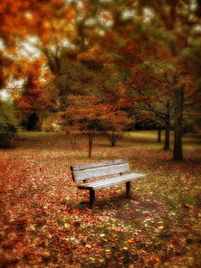 Autumn Splendors Photograph by Jessica Jenney