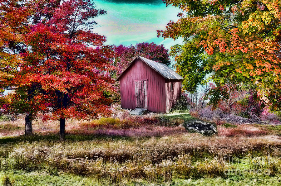 Fall Photograph - Autumn Splendor #1 by Reese Lewis