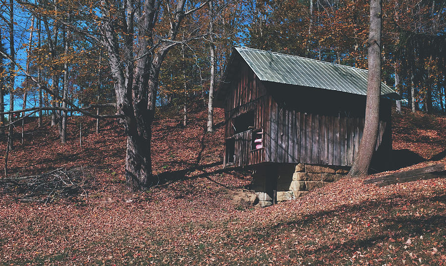 Autumn Springhouse #1 Photograph by Mountain Dreams