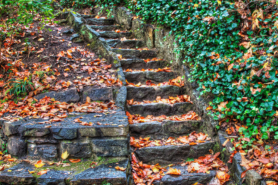 Autumn Stairway #1 Photograph by Blaine Owens
