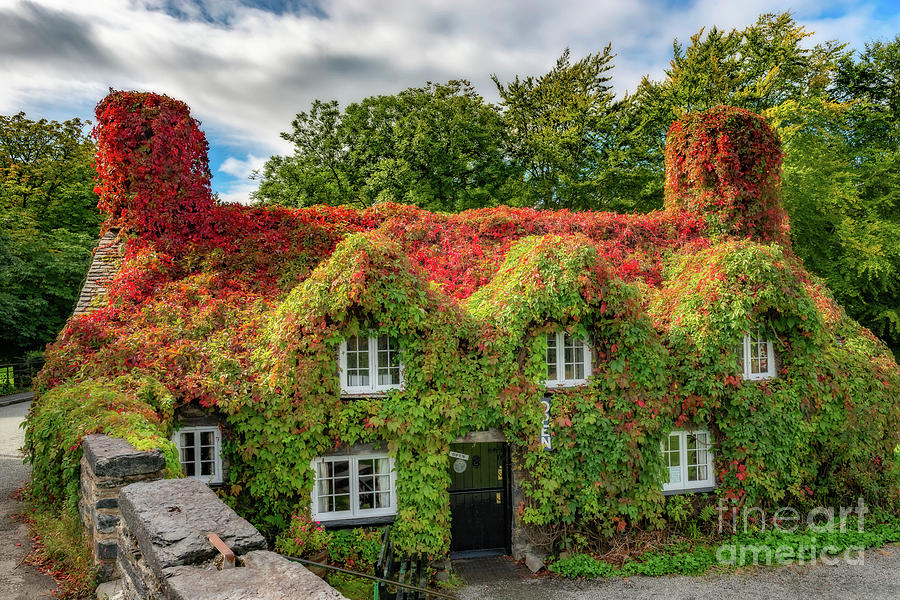 Autumn Tea House #1 Photograph by Adrian Evans