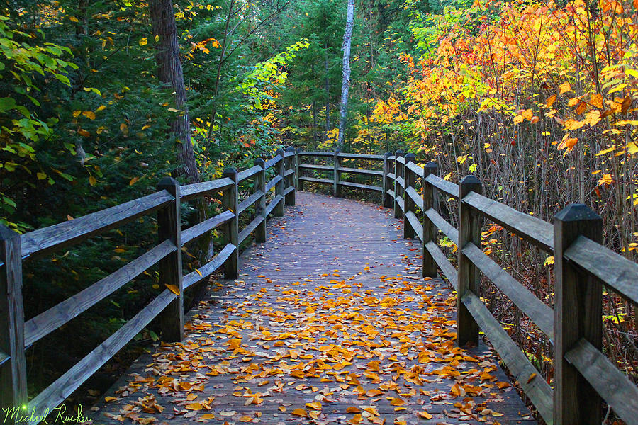 Autumn Trail #1 Photograph by Michael Rucker