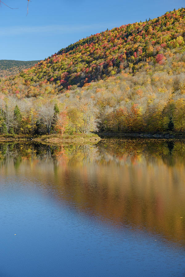 Autumn trees on a Vermont Pond near the end of the fall season o ...