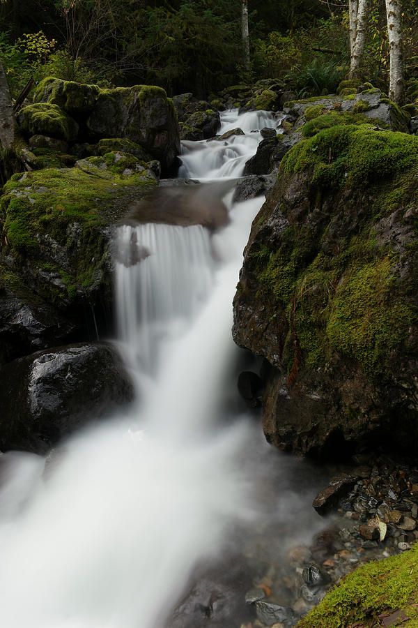 Autumn waterfall #1 Photograph by Jeff Swan