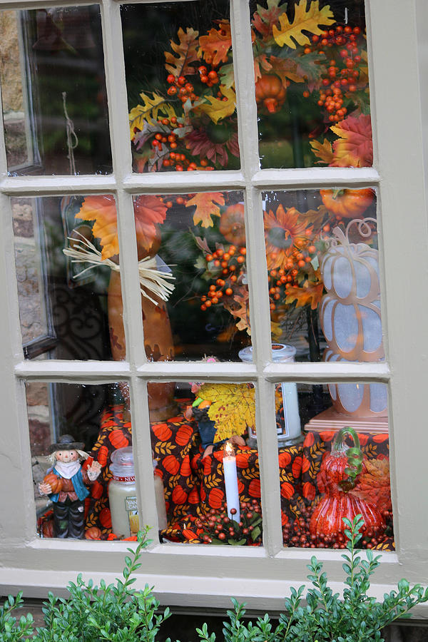 Autumn Window #1 Photograph by Living Color Photography Lorraine Lynch