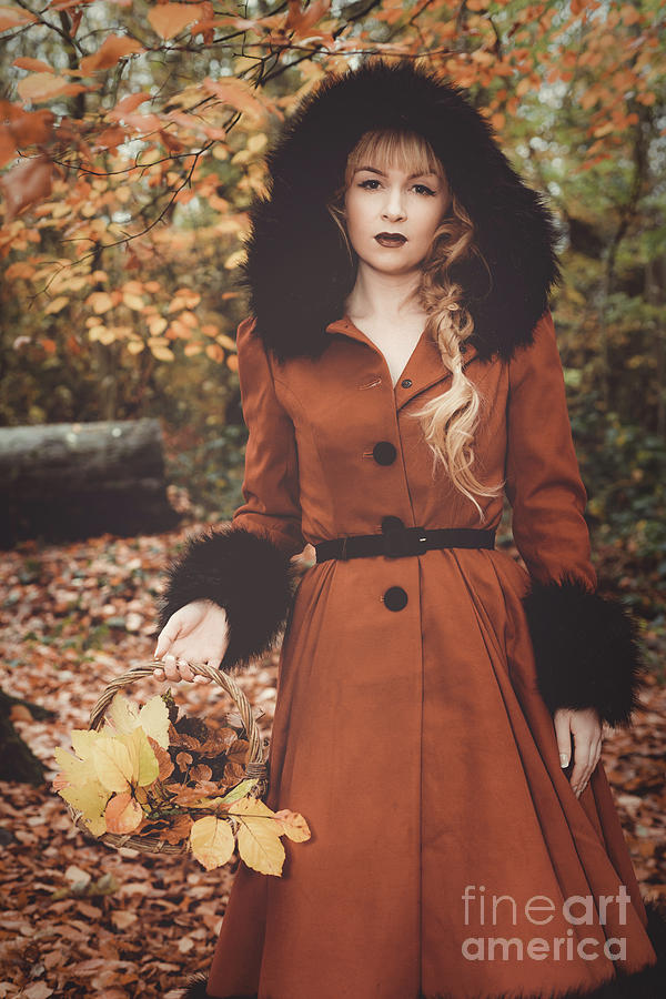 Fall Photograph - Autumn Woodland #1 by Amanda Elwell