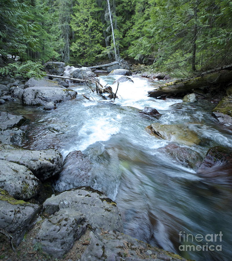 Avalanche Creek Photograph