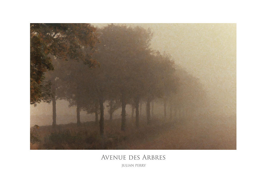 Avenue des Arbres Digital Art by Julian Perry