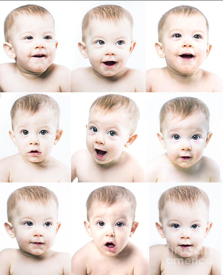 Baby Faces #1 Photograph by Diane Diederich