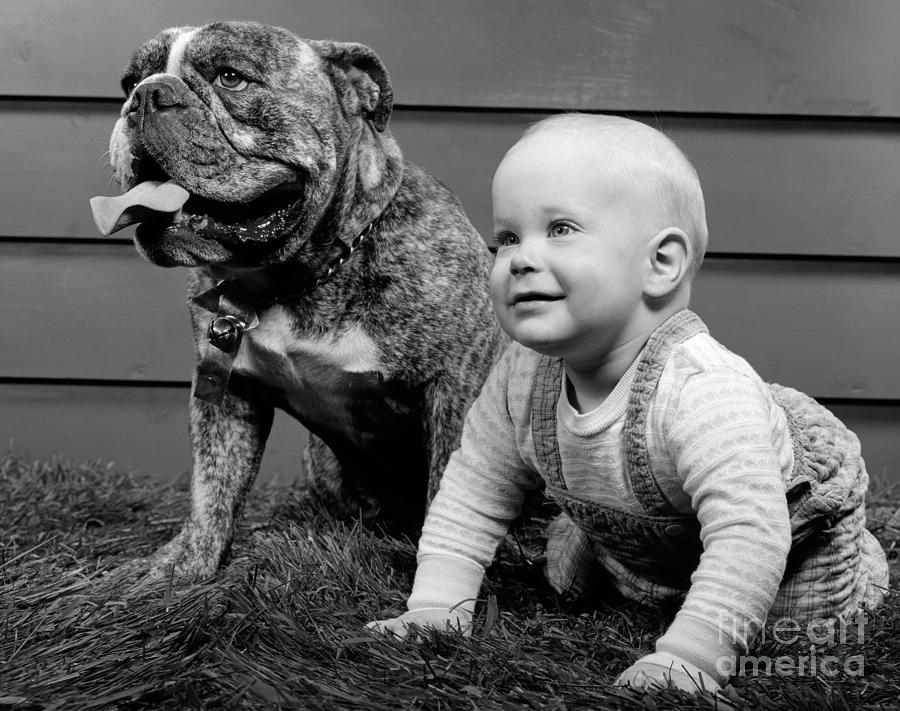 Baby With Bulldog, C.1950-60s #1 Photograph by H. Armstrong Roberts/ClassicStock