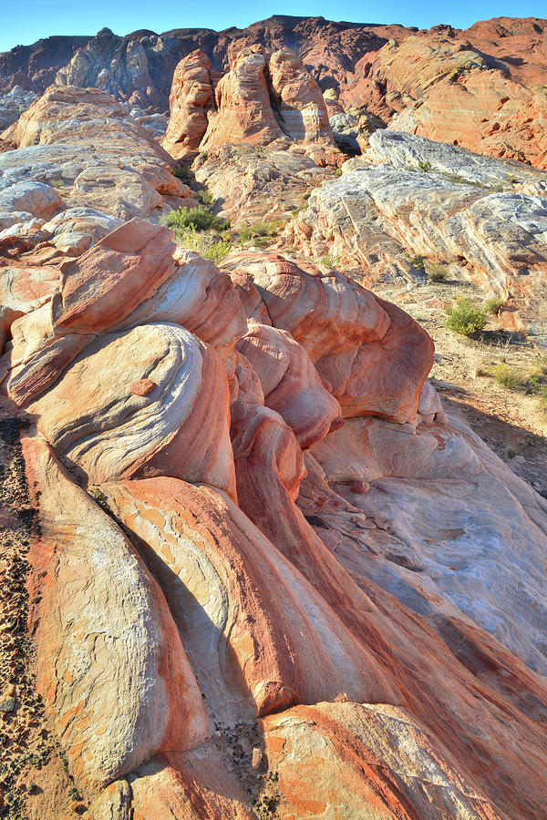Back Country of Valley of Fire #2 Photograph by Ray Mathis