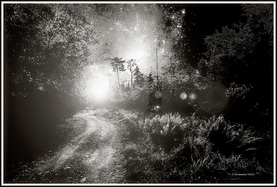 Back Road Through A Thicket, Starry Night Fantasy #1 Digital Art by A Macarthur Gurmankin