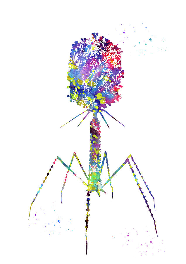 Bacteriophage Digital Art by Erzebet S - Fine Art America