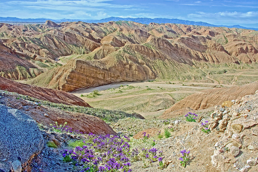 Badlands of Anza-Borrego State Park-California  #1 Photograph by Ruth Hager