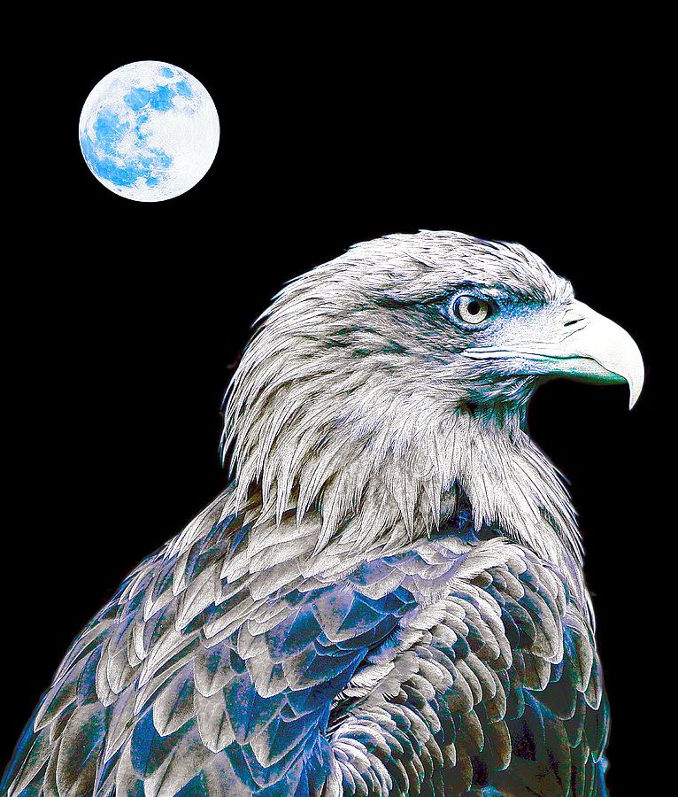 Bald Eagle  #1 Painting by Celestial Images