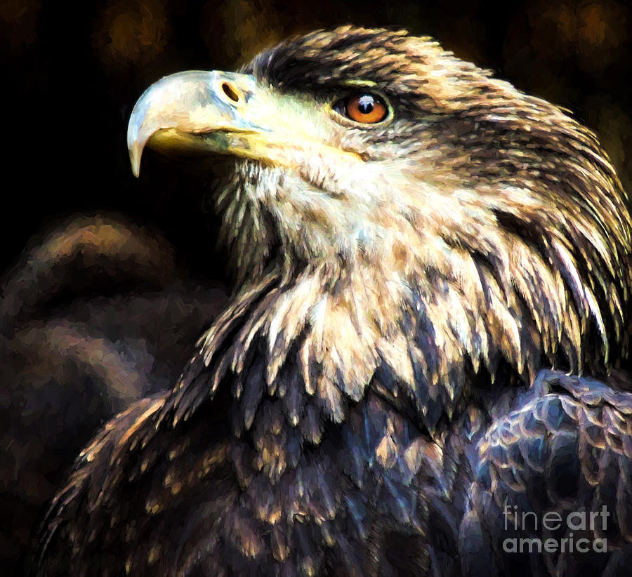 Bald Eagle  Painting by Mim White