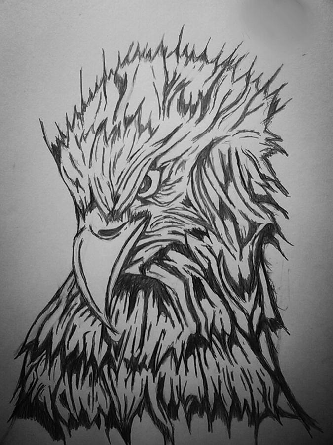 Bald Eagle Drawing by Ryan Williams - Fine Art America