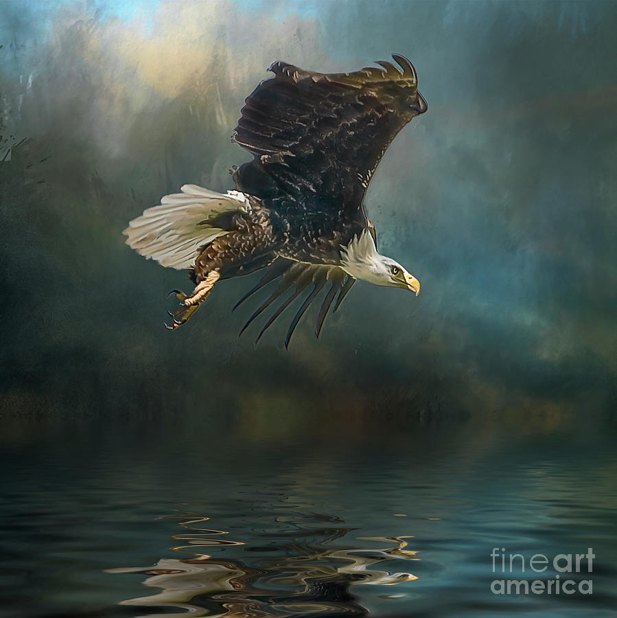 Bald Eagle swooping #1 Photograph by Brian Tarr