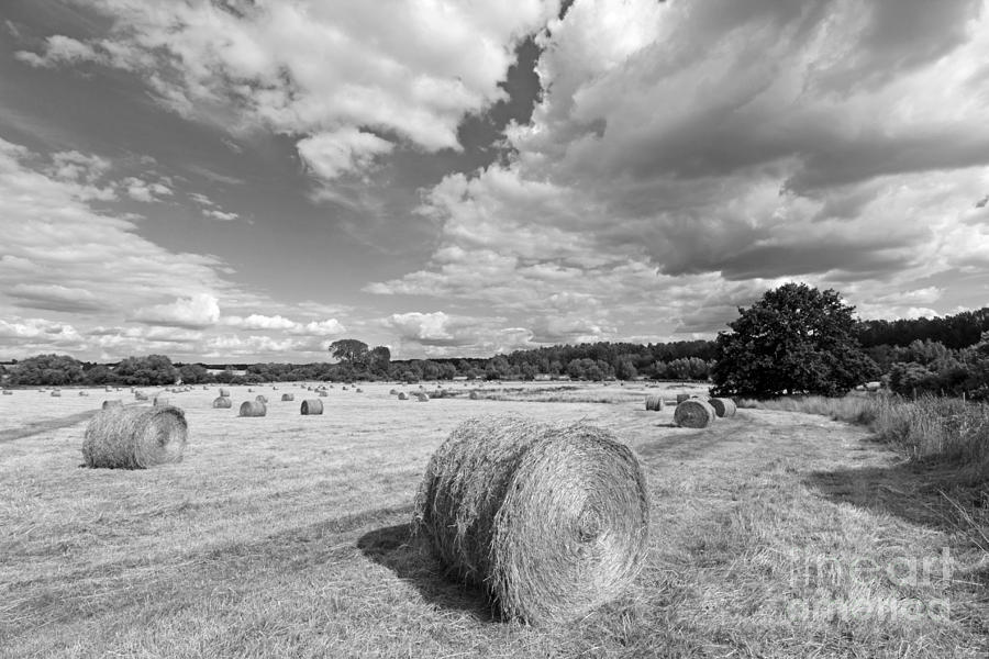 Bales of Hay in the English Countryside #2 Photograph by Julia Gavin