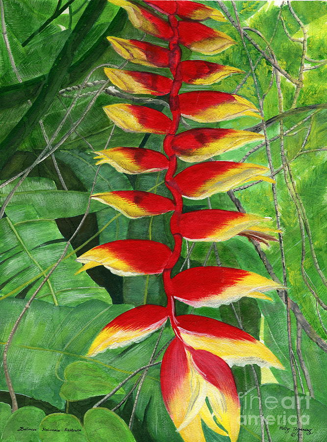 Balinese Heliconia Rostrata Painting by Melly Terpening