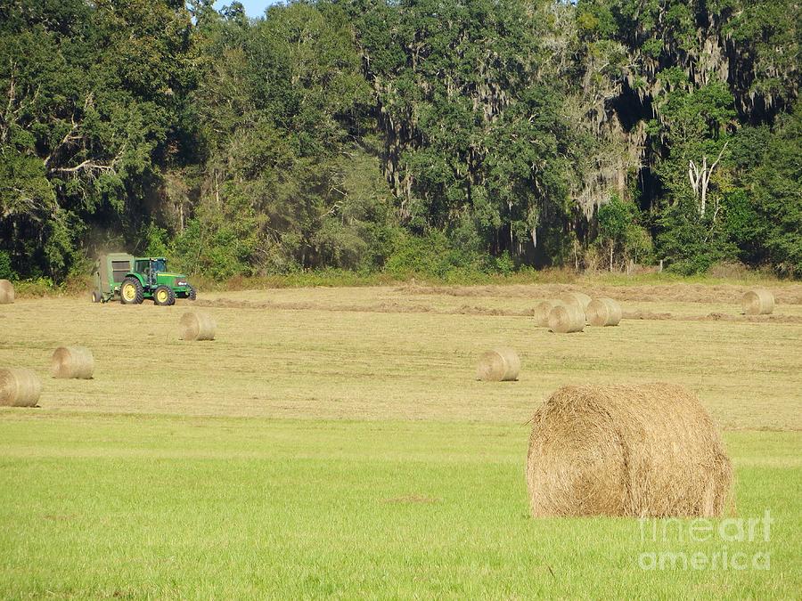 Baling Day #1 Photograph by Tim Townsend