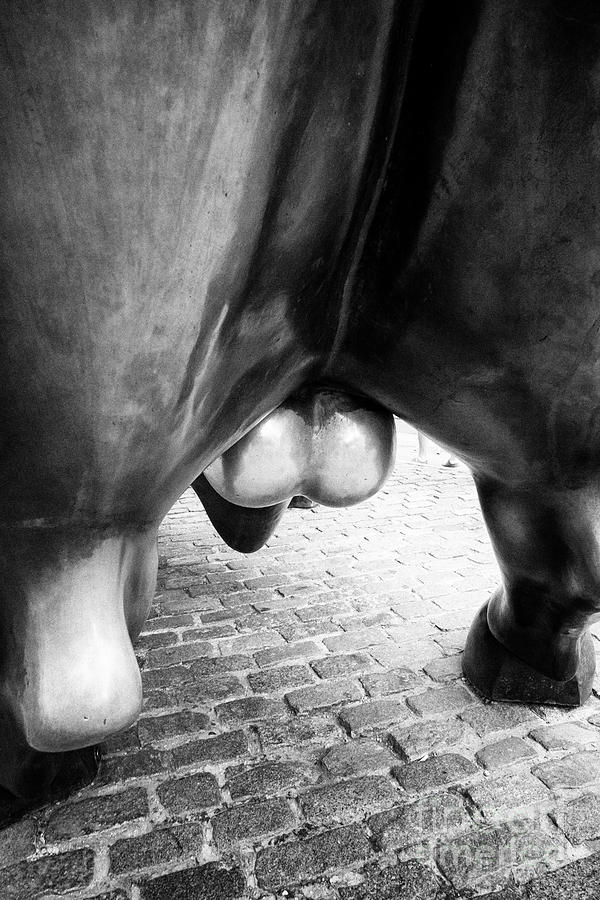 Ball Photograph - balls of the charging bull statue bowling green wall street New York City USA #1 by Joe Fox