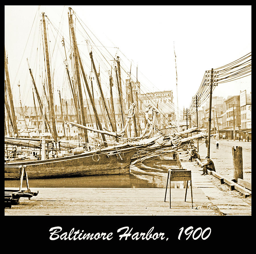 Baltimore Harbor 1900 Vintage Photograph #1 Photograph by A Macarthur Gurmankin